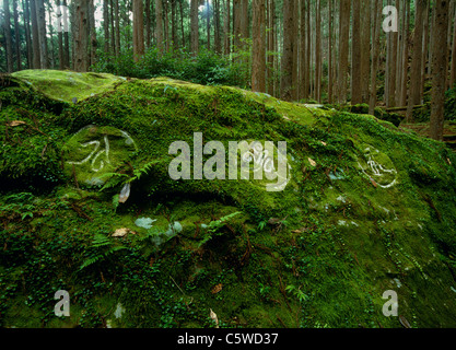 Waroda-ishi di Kumano Kodo, Tanabe, Wakayama, Giappone Foto Stock