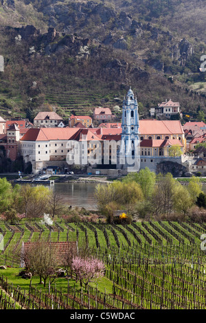 Austria Bassa Austria Wachau, Duernstein, Vista della città con il fiume Danubio e la vigna in primo piano Foto Stock