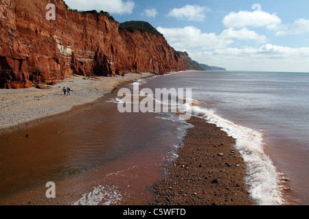 Rosso scogliere di arenaria, facente parte della Jurassic Coast, a Sidmouth, nel Devon, Inghilterra, Regno Unito Foto Stock