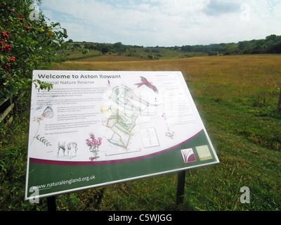 ASTON ROWANT Riserva Naturale Nazionale in The Chiltern Hills guardando ad est dal fondo della sezione meridionale. Foto Tony Gale Foto Stock