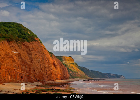 Rosso scogliere di arenaria, facente parte della Jurassic Coast, a Sidmouth, nel Devon, Inghilterra, Regno Unito Foto Stock