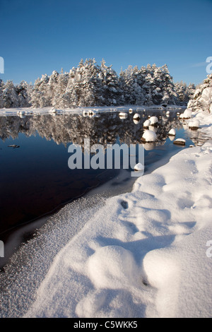 Loch Morlich in inverno, Cairngorms National Park, Scozia, Gran Bretagna. Foto Stock