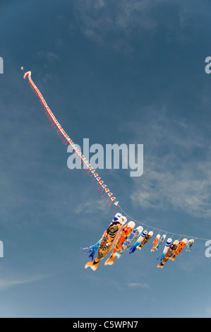 Koinobori volare al di sotto di una lunga stringa di flag giapponese. Kobe, Giappone Foto Stock