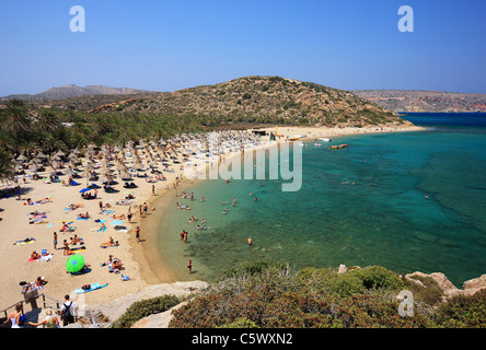 Vai spiaggia, famosa per le sue uniche Palm tree forest, vicino alla città di Sitia, prefettura di Lasithi, a est di Creta, Grecia Foto Stock