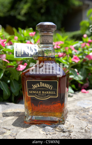 Bottiglia di canna singola Tennessee whiskey a jack daniels distillery Lynchburg , Tennessee , Stati Uniti Foto Stock