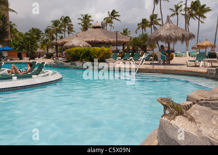 Wild iguana verde seduto su una roccia da una piscina al Sunspree Resort Holiday Inn, Aruba, Antille olandesi Foto Stock