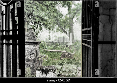 Riduzione dei gesuiti Santa Ana, cimitero, Provincia Misiones, Argentina Foto Stock