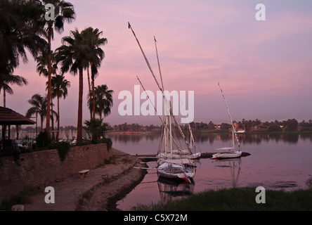Felucca velieri ormeggiati sul Nilo Foto Stock