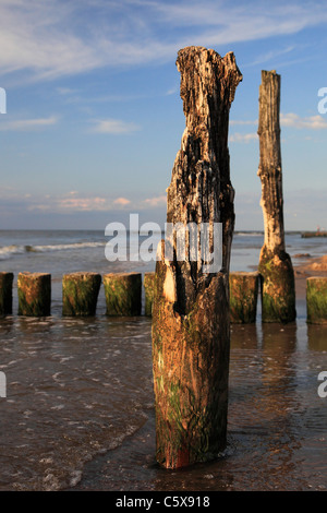 Pennelli a Rewal, Mar Baltico Pomerania, Polonia Foto Stock