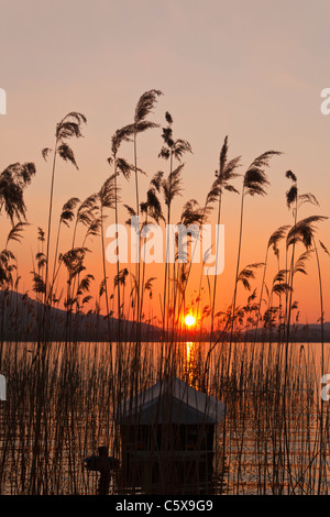 Austria, Mondsee, vista di casa galleggiante nel lago al tramonto con ance in primo piano Foto Stock