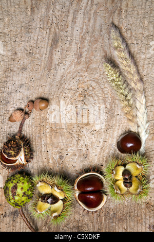 Autunno decorativo confine con castagne e foglie Foto Stock