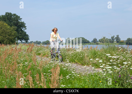 Ciclista sulla diga, sul fiume Elba vicino Wussegel vicino a Hitzacker, Riserva Naturale Elbufer-Drawehn, Bassa Sassonia, Germania Foto Stock