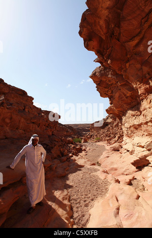 Un beduino uomo in piedi nel Canyon Colorato, Sinai South, Egitto. Foto Stock