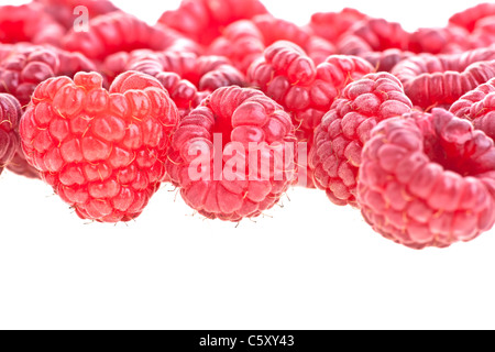 Macro di una pila di lamponi contro uno sfondo bianco Foto Stock