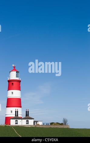 Happisburgh Lighthouse,Norfolk, Regno Unito. Norfolk il più famoso punto di riferimento impostato contro un perfetto cielo blu chiaro con un rigoglioso campo di giovani del frumento nella parte anteriore Foto Stock