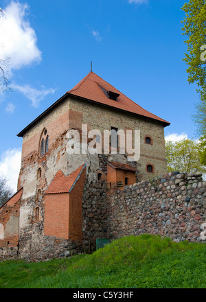 Mura del Castello di Trakai, Trakai, Lituania Foto Stock