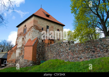 Mura del Castello di Trakai, Trakai, Lituania Foto Stock