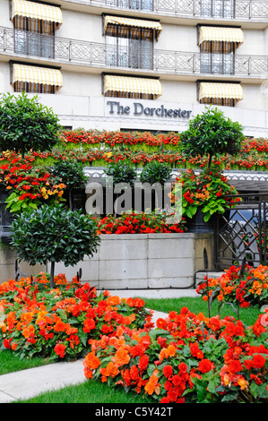 Il famoso hotel Dorchester, prestigioso hotel a cinque stelle di lusso Park Lane façade segno persiane e fiori nei giardini Mayfair West End Londra Inghilterra Regno Unito Foto Stock