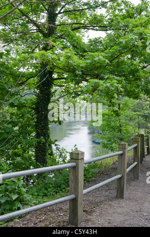 Fiume Severn di Ironbridge, Shropshire, Inghilterra, Regno Unito Foto Stock