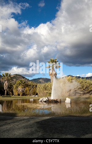 Un naturale geyser di acqua di tiro fuori della terra e nell'aria Foto Stock