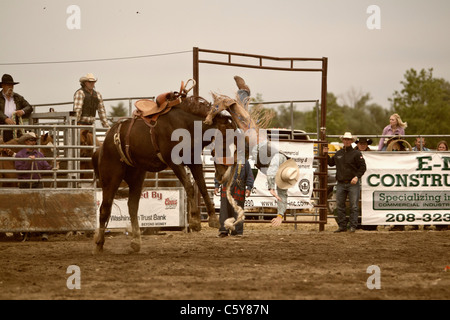 Un cowboy viene contrastato dalla parte anteriore durante la sella bronc riding a l'Aquila Rodeo, Eagle, Idaho, Stati Uniti d'America Foto Stock