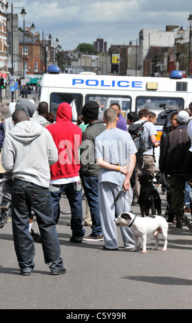 Londra tumulti Tottenham High Road saccheggi incendi bruciato auto felpe con cappuccio e pitbull cane Foto Stock