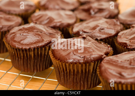 Fresca fatta in casa tortini di cioccolato Foto Stock