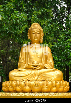 Statua dorata di un Budda seduto meditando in un giardino Foto Stock