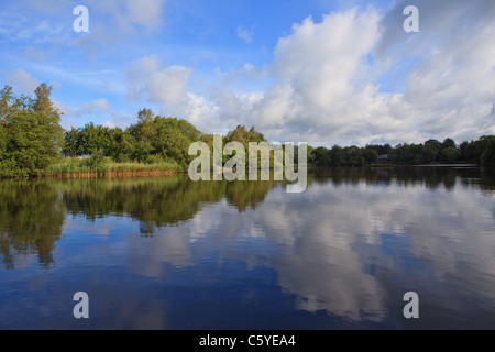 Gnoll Country Park, estate, affacciato sul grande stagno Foto Stock