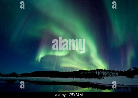 Luci del nord, noto anche come aurora boreale sopra la tundra nevoso. La Lapponia, Finlandia. Foto Stock