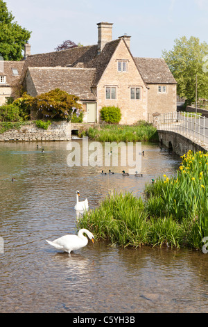 Un vecchio mulino sul Fiume Coln nel Cotswold città di Fairford, Gloucestershire Foto Stock