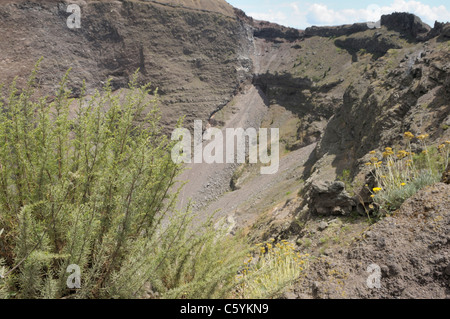 Cratere del Vesuvio, il vulcano che seppellì Pompei e altre città romane nel 79AD Foto Stock