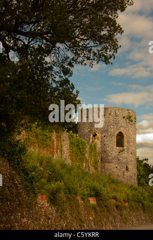 Medievale Torre Nera mura Carrow Hill Norwich Foto Stock