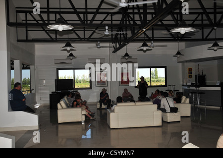 Turisti che si siedono sui divani ascoltando una guida contenente due bottiglie in una sala di degustazione vini, la cantina Vistandes, Mendoza, Argentina Foto Stock