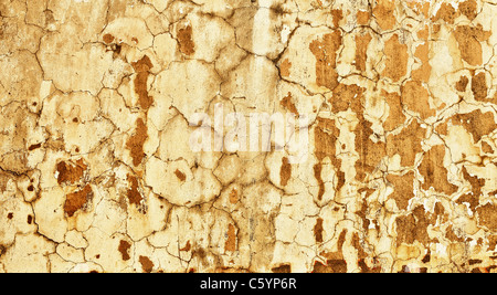 Un muro di cemento con il vecchio intonaco - sfondo Foto Stock