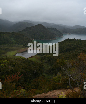 La baia di ancoraggio, il Parco Nazionale Abel Tasman, Isola del Sud, Nuova Zelanda Foto Stock