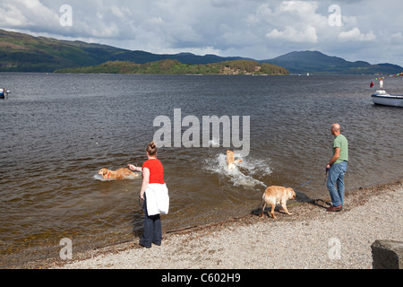 I cani che si diverte sulle rive di Loch Lomond, Luss, Argyll & Bute Foto Stock