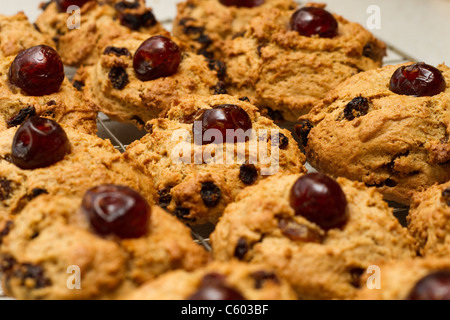 Torte di roccia raffreddamento su un filo rack Foto Stock