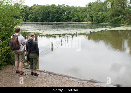 London Parliament Hill Hampstead Heath Highgate n. 1 pond coppia giovane ammirare visualizza zaino short cut off acqua di lago alberi Foto Stock