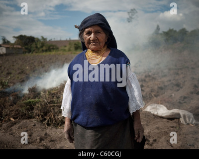 Donna indigena campi di lavoro. Foto Stock