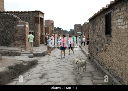 Pompei Italia resti dell antica città dopo la distruzione da eruzione del Monte Vesuvio. I turisti ad esplorare con il cane. Foto Stock