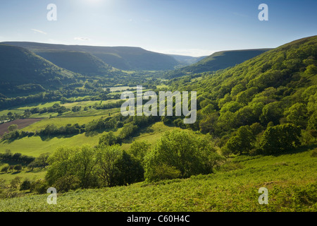 Vale of Ewyas (Area di Llanthony). La Montagna Nera. Parco Nazionale di Brecon Beacons. La contea di Powys. Il Galles. Regno Unito. Foto Stock