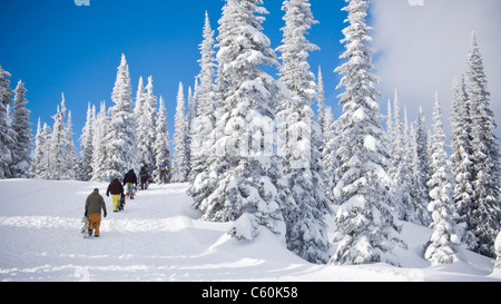 Gli appassionati di snowboard a piedi fino hillside Foto Stock