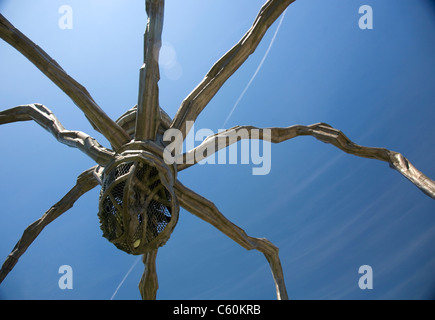 'Maman' spider scultura su display a Place de Neuve a Ginevra Foto Stock