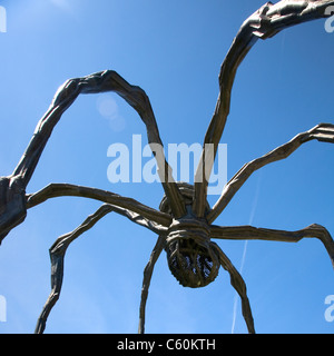 'Maman' spider scultura su display a Place de Neuve a Ginevra Foto Stock