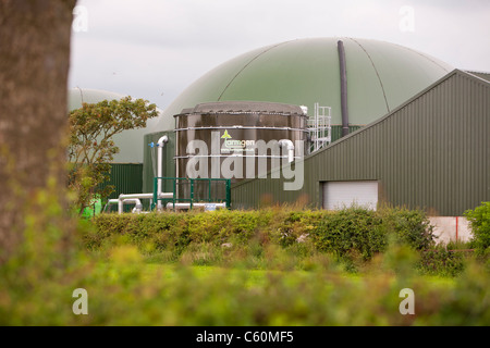 Un farmgen bio-digestivo che producono energia elettrica da bio-metano nei pressi di Warton, Lancashire, Regno Unito. Foto Stock