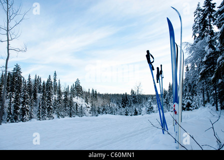 Bastoncini da sci e bastoni bloccato nella neve Foto Stock