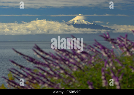 Vulcano Osorno e del Lago Llanquihue vista da Frutillar nella regione X de los Lagos, Cile Foto Stock