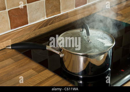 Metallo moderno zuppa di pentola o padella con maniglie nere su un fornello  ad induzione. Gocce di acqua bollente sono sulla superficie interna del  vetro trasparente coperchio Foto stock - Alamy