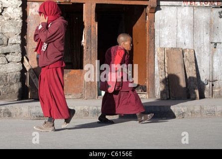 Lo zafferano derubato i monaci buddisti Foto Stock